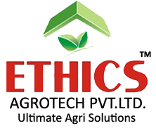 ethics-m3dinfotech